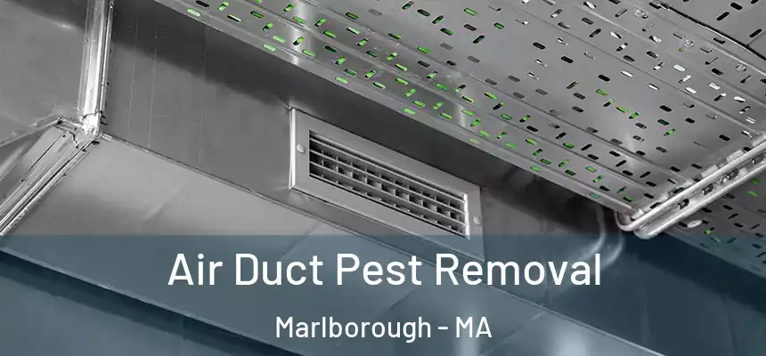  Air Duct Pest Removal Marlborough - MA