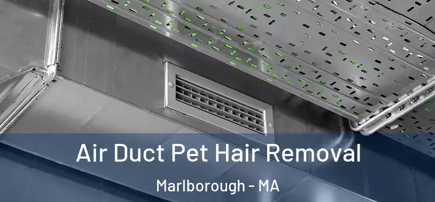  Air Duct Pet Hair Removal Marlborough - MA