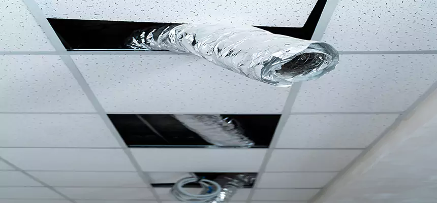 Affordable HVAC Sanitizing After Pest Removal in Marlborough