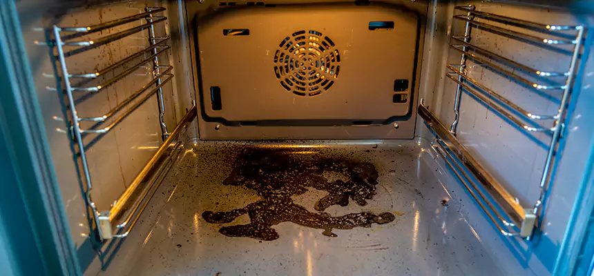 Our Dryer Vent Mold Cleaning Services in Marlborough, MA