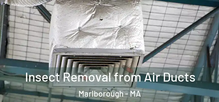  Insect Removal from Air Ducts Marlborough - MA
