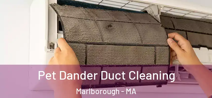 Pet Dander Duct Cleaning Marlborough - MA