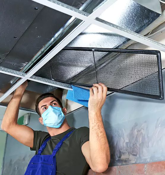 About Air Duct Bacteria Removal in Marlborough