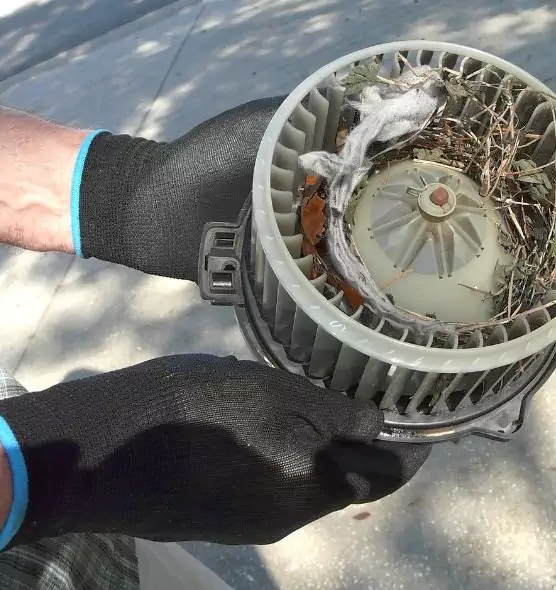 About Air Duct Mice Removal in Marlborough, MA