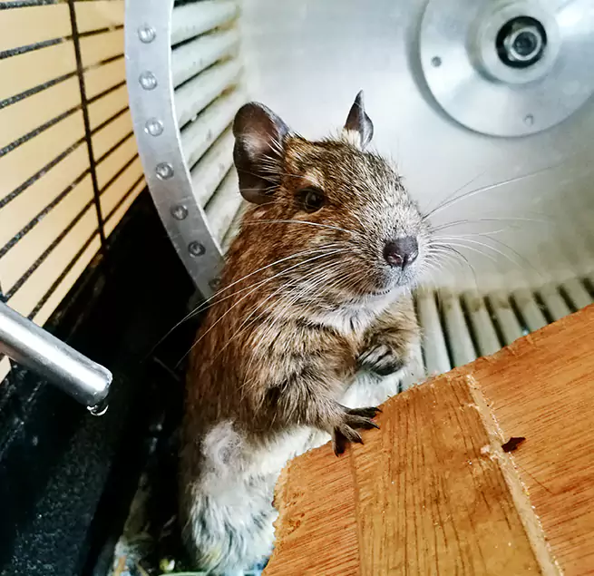 Why Homeowners & Businesses Trust Us Marlborough, MA